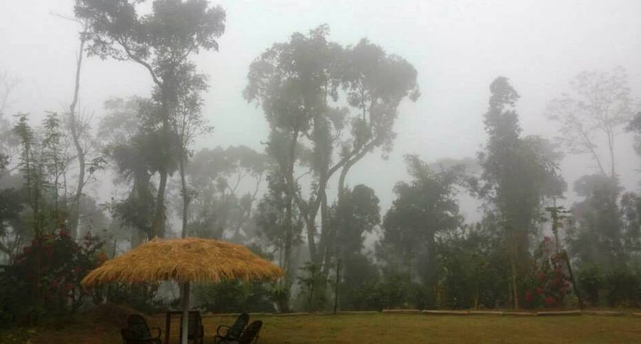 Moonmist Homestay, Chikmaglur 5